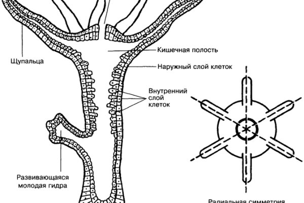 Мега ссылка на зеркало